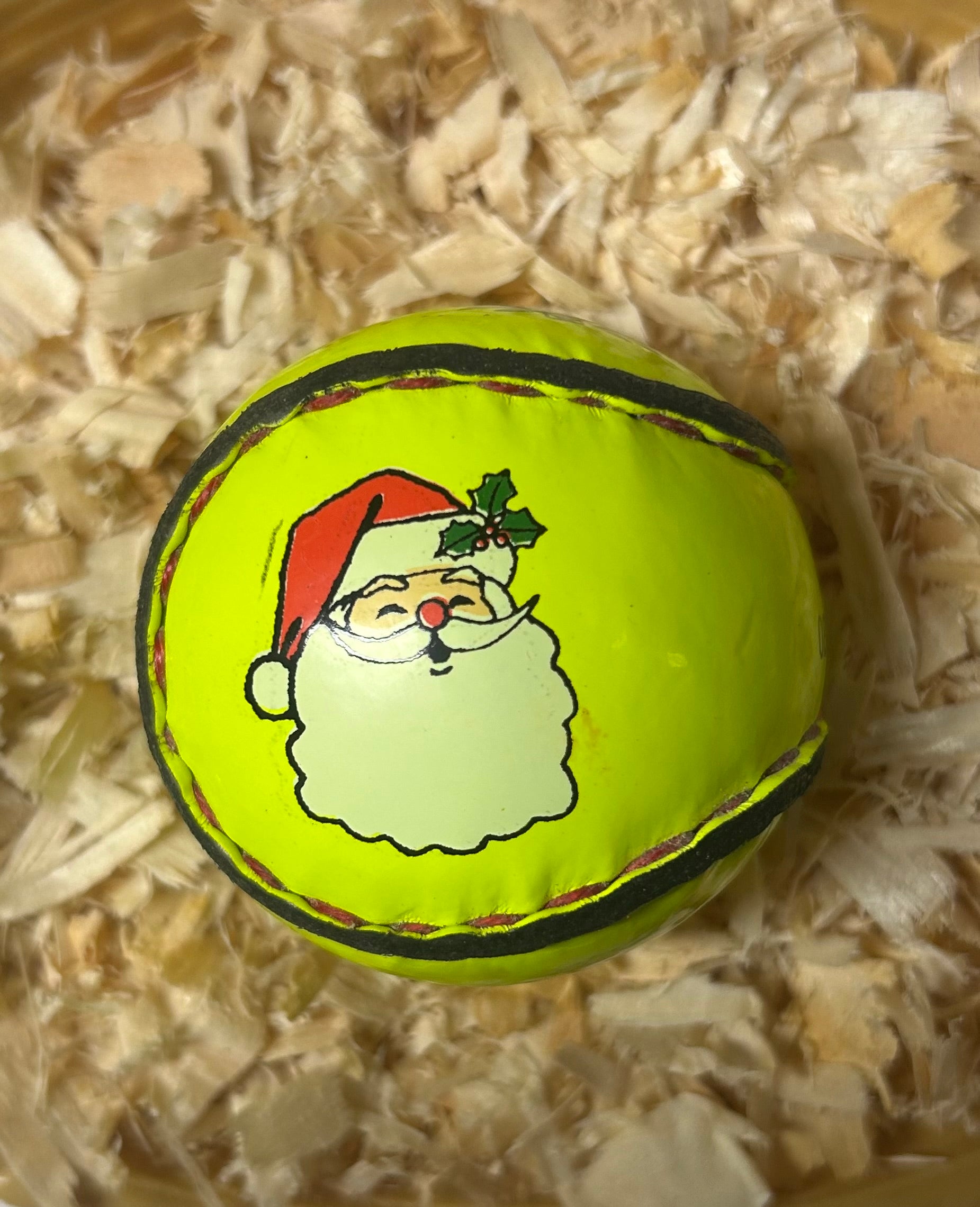 Christmas Gifting Sliotar