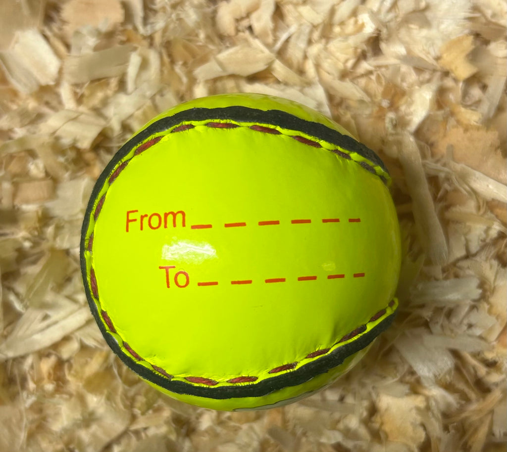 Christmas Gifting Sliotar