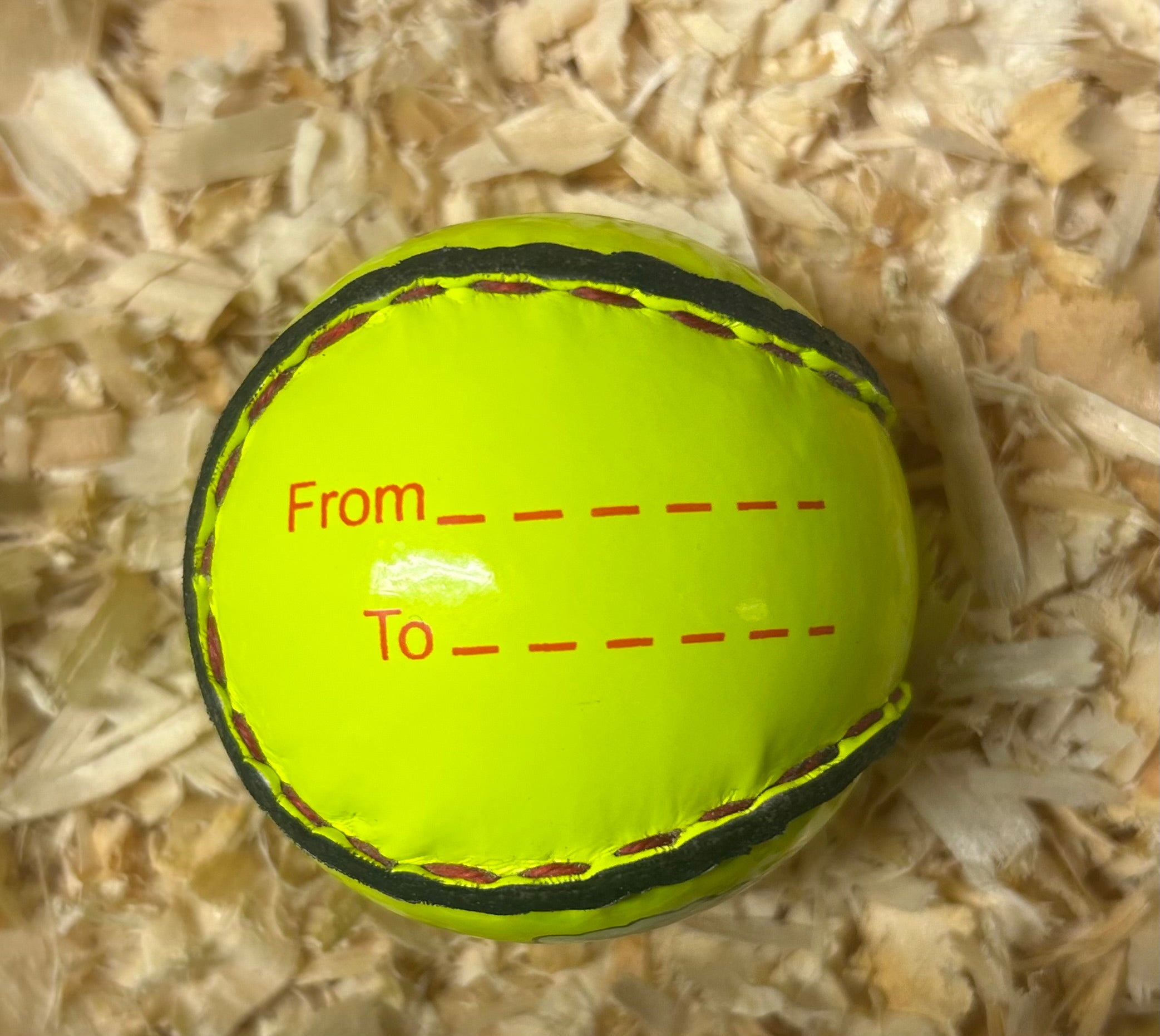 Christmas Gifting Sliotar